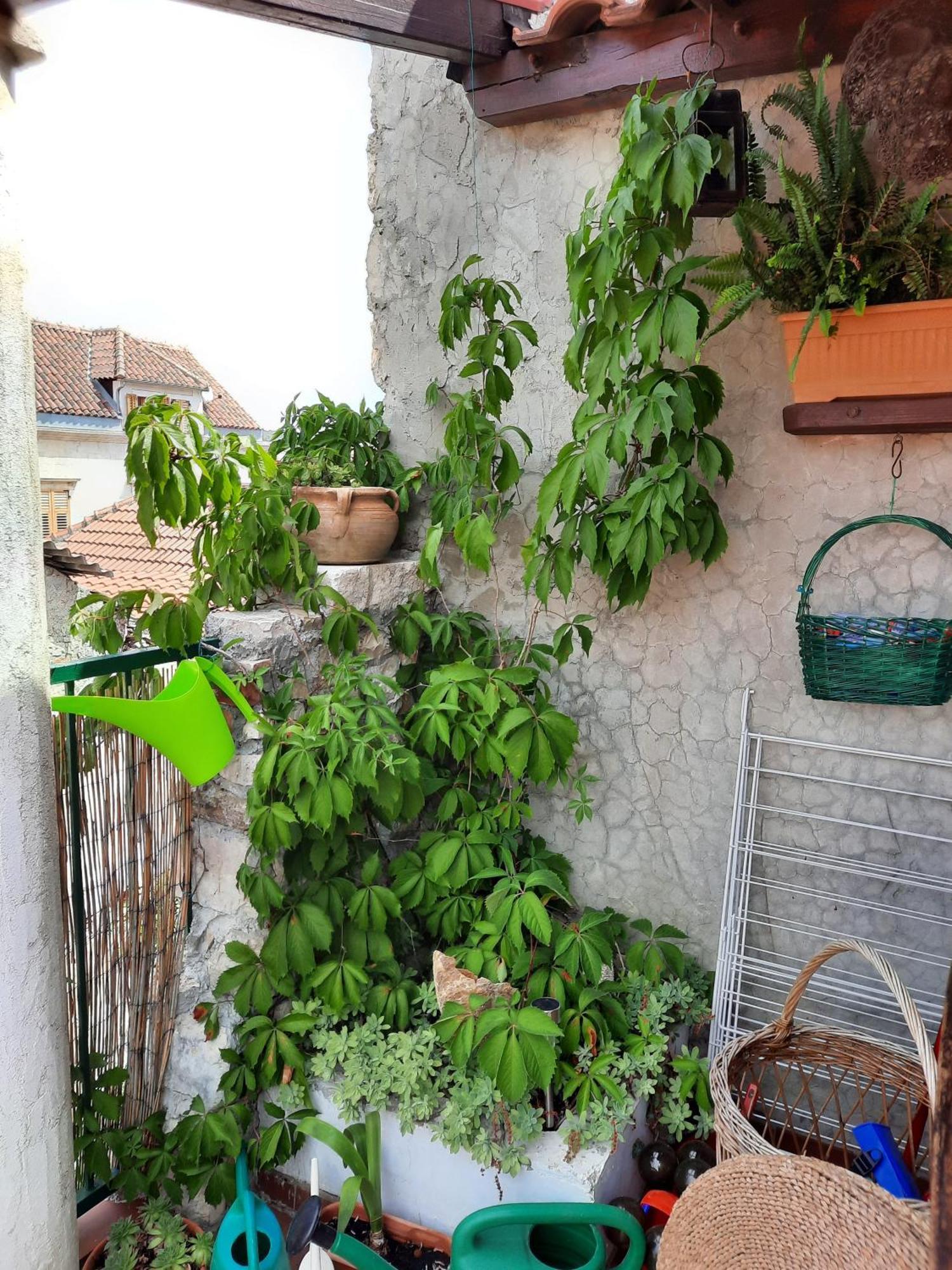 Ferienhaus Kuca Za Odmor Ollarosa *
